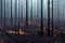 Vivid smoldered tree trunk firewoods burned in fire closeup. Warm logs, bright sparks atmospheric background of huge