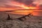 Vivid strong orange and red colours of the sunset across the beach