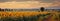 Vivid sunflower field beside a rustic village, a quintessential summer scene