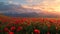 Vivid sunset landscape blooming poppy field against snow capped mountains in the background