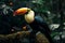 Vivid Toco Toucan perched on a jungle branch, tropical scene