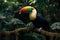 Vivid Toco Toucan perched on a jungle branch, tropical scene