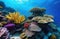 vivid underwater photography, coral reef, colorful fish, ocean floor, sea diving