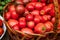 Vivid, vibrant close-up of an array of fresh tomatoes in a wicker basket
