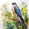 Vivid Watercolor Illustration Of A Perched Raptor In Photorealistic Style