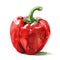 Vivid watercolor portrayal of a red bell pepper with striking color contrasts