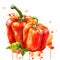 Vivid watercolor portrayal of a red bell pepper with striking color contrasts