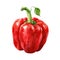 Vivid watercolor portrayal of a red bell pepper with striking color contrasts