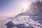 Vivid winter landscape in pink tonality with lens flare