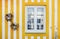 Vivid yellow and white wall of a traditional Costa Nova house with a window and two suspended flower beds.