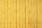 Vivid yellow wooden texture background. Wall surface. Vertical wooden boards with nails
