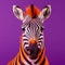 vivid zebra with fiery stripes against a minimalist purple background