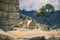 A vizcacha in the Inca ruins of Machu Picchu in Peru