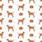 Vizsla wirehaired seamless pattern. Different poses, coat colors set