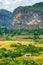 The ViÃ±ales valley in Cuba