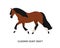 Vladimir heavy draft breed horse flat vector illustration. Beautiful equine, workhorse, domestic pedigree hoss. Horse