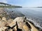 Vladivostok, Patroclus Bay in the Ussuri Bay of the Sea of Japan in summer