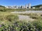 Vladivostok, Patroclus Patrokl bay. Residential neighborhood on Sochinskaya street and nameless lake in autumn in sunny weather