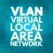 VLAN - Virtual Local Area Network acronym, technology concept background