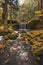 Vlasky River with waterfall illuminated with sun in an untouched landscape in the middle of an autumn mixed forest in red-orange