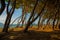 VLORA - VLORE, ALBANIA: Landscape with trees and sea on the beach in Vlora on a sunny day