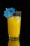 Vodka and Orange juice mixed drink