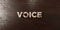 Voice - grungy wooden headline on Maple - 3D rendered royalty free stock image