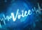 Voice verification and recognition technology