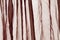 Voile curtain brown