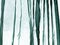 Voile curtain green