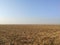 Vojvodina landscape arable fertile flat plain in autumn