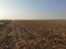 Vojvodina landscape arable fertile flat plain in autumn