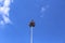 Voladores, the Bungee jumpers from Mexico