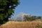 Volcan de Colima - Colima Volcano