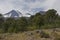 Volcan Llaima in Conguillo nacional park, Chile