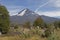 Volcan Llaima in Conguillo nacional park, Chile