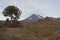 Volcan Llaima in Conguillo nacional park, Chile