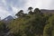 Volcan Llaima in Conguillo nacional park, Chile