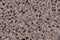 Volcanic Ash Camouflage Color Lava Stone Charcoal Ecru