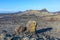 Volcanic bomb in front of volcano Montana Colorada in Lanzarote, Tinajo