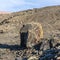 Volcanic bomb in front of volcano Montana Colorada in Lanzarote, Tinajo