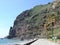 Volcanic cliffs and palm trees at Ponta do Sol of Madeira.