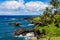 Volcanic coastline on the shores of Maui