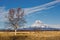 Volcanic eruption in Kamchatka,pyroclastic flow