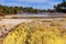 Volcanic exposed sulphur formations in Waiotapu Thermal Wonderland