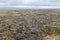 Volcanic field at Snaefellsnes coastline.