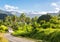 Volcanic hills, mountains, valleys, volcano mouth of beautiful green lush Ovalau island overgrown with palms, lost in jungle. Fiji