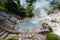 Volcanic hotsprings Of The Lake Furnas in Sao Miguel, Azores.