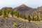 Volcanic landscape along Ruta de los Volcanes, beautiful hiking path over the volcanoes, La Palma, Canary Islands