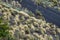 Volcanic landscape of Caldera de Bandama crater with circular hiking trail. Gran Canaria, Spain